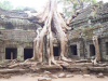 angkor wat temple cb
