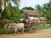 cambodiaarge004