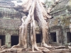 cambodia-gallery-9