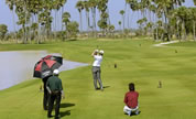Golf Packages
